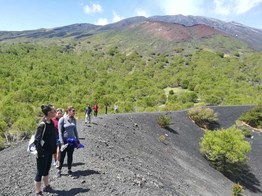 From Taormina: Half-Day Mount Etna Morning Trek - Should you book it?