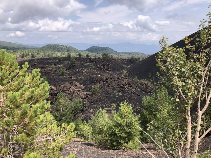From Taormina: Half-Day Mount Etna Morning Trek - Walking Etna’s extinct craters at 2,000 meters