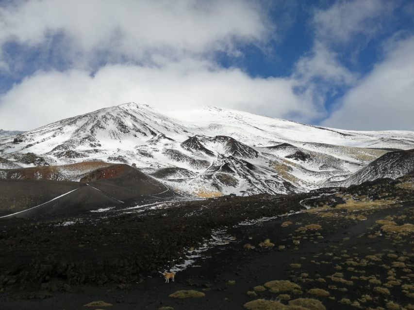 From Taormina or Catania: Private Full-Day Mount Etna Hike - Key points at a glance