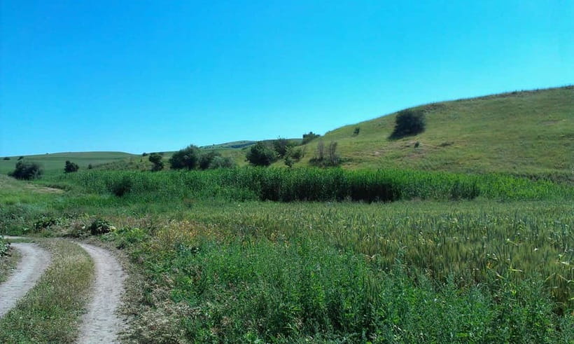 From Tashkent: Chimgan Valley Hiking Day Trip - What makes the mountain views worth the effort