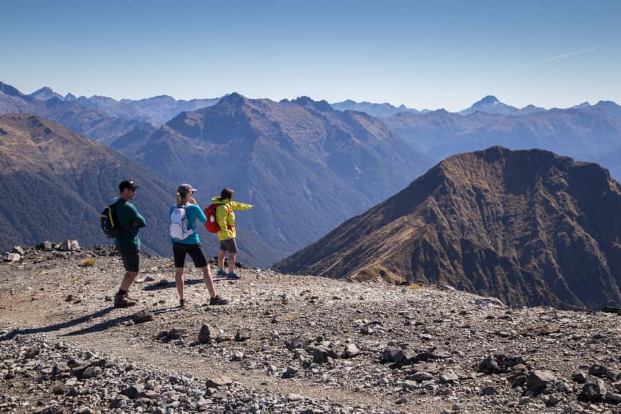 From Te Anau: Full Day Kepler Track Guided Heli-Hike - Native ferns and the approach to Brod Bay