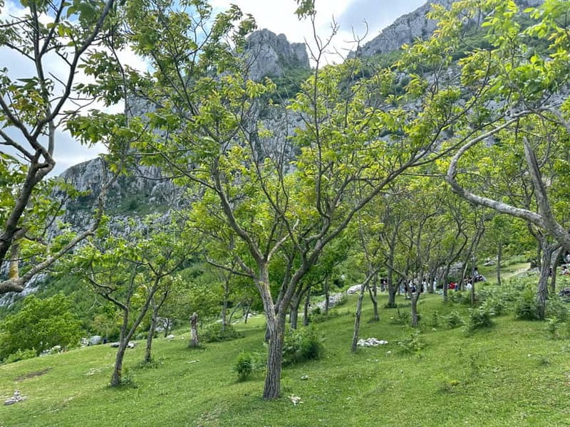 From Tirana: Bovilla Lake & Gamti Mountain Viewpoint Hike - Guides who make the day easier