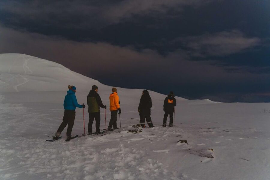 From Tromsø: Evening Fjellheisen Snowshoe Hike and Cable Car - Key points to know before you book