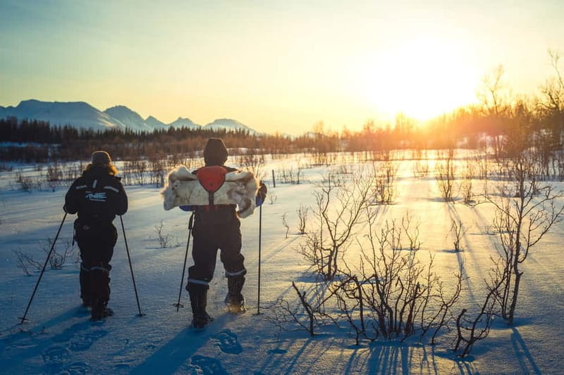 From Tromsø: Guided Husky Snowshoe Hike and Husky Camp Visit - Arctic views and a warm trail break