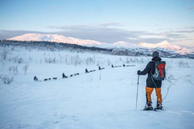 From Tromsø: Guided Husky Snowshoe Hike and Husky Camp Visit