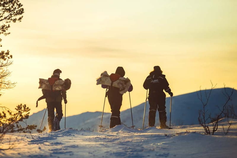 From Tromsø: Guided Husky Snowshoe Hike and Husky Camp Visit - Meeting 200 dogs at the camp