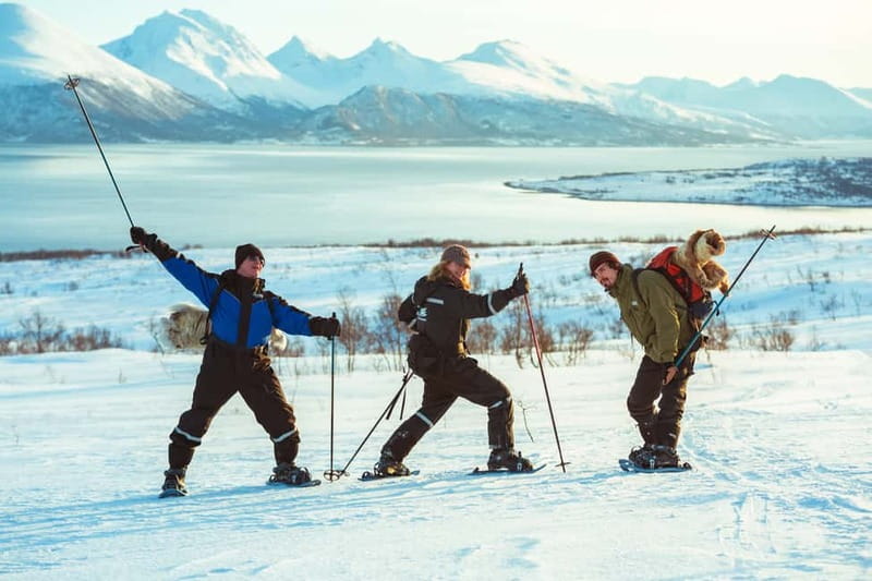 From Tromsø: Guided Husky Snowshoe Hike and Husky Camp Visit - Cake, coffee, and a firelit finish
