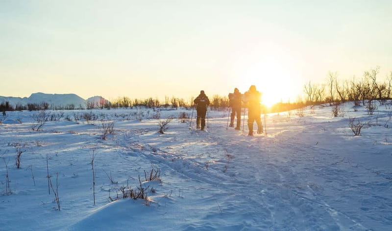 From Tromsø: Guided Husky Snowshoe Hike and Husky Camp Visit - How much value do you get for $187?