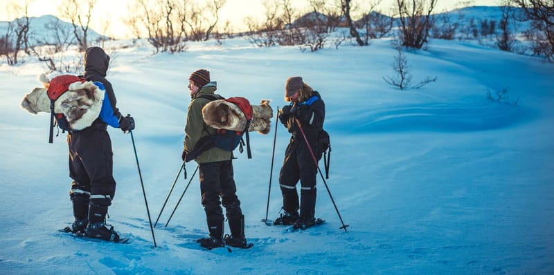 From Tromsø: Guided Husky Snowshoe Hike and Husky Camp Visit - Practical tips for a smoother day