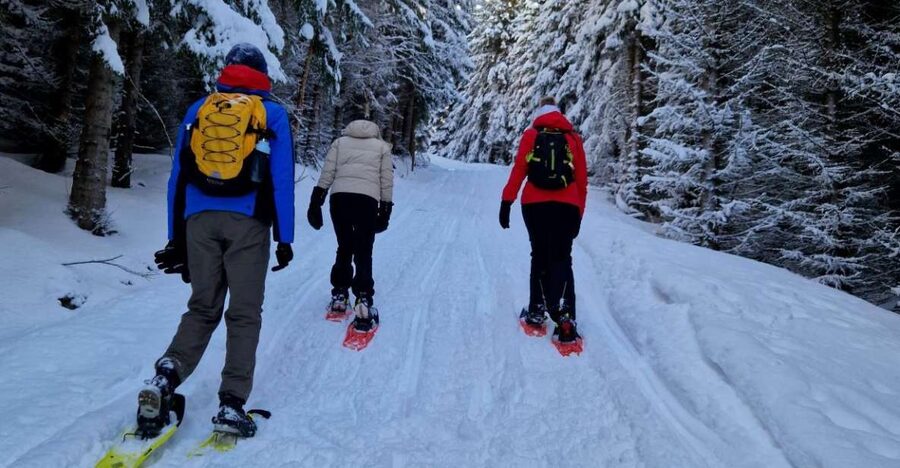 From Tromsø: Snowshoe Hike in the Arctic - Key points at a glance