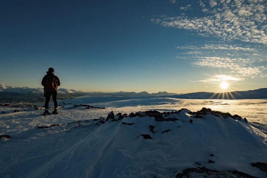 From Tromsø: Snowshoe Hike in the Arctic - From Tromsø harbor to the snowy hills