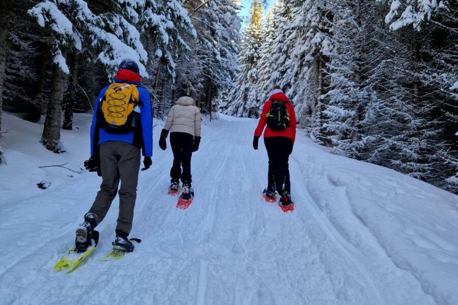 From Tromsø: Snowshoe Hike in the Arctic - The climb, the pauses, and the changing view