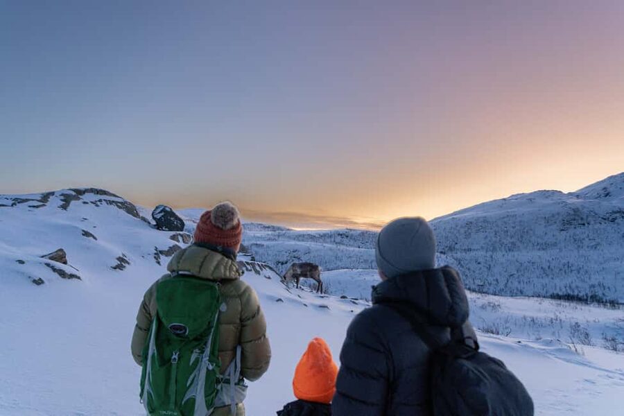 From Tromsø: Snowshoe Hike with Local Guides - Leaving Tromsø for Kvaløya