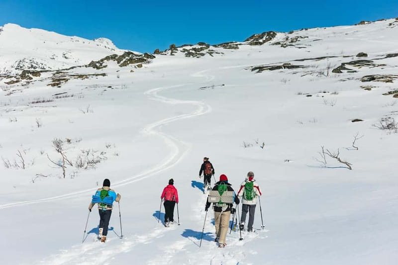From Tromsø: Snowshoeing Hike with Picnic Lunch and Photos - What you receive for $141