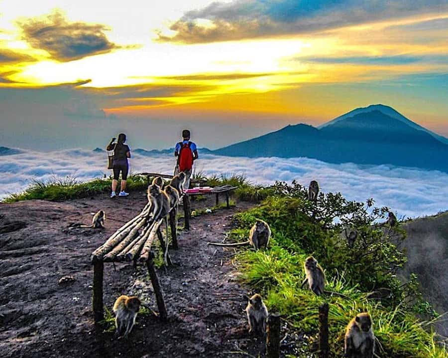 From Ubud: Mount Batur Hiking - Breakfast with a view over Lake Batur