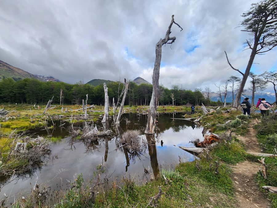 From Ushuaia: Tierra del Fuego Emerald Lagoon Trekking Tour - Forest, valleys, and the Esmeralda River