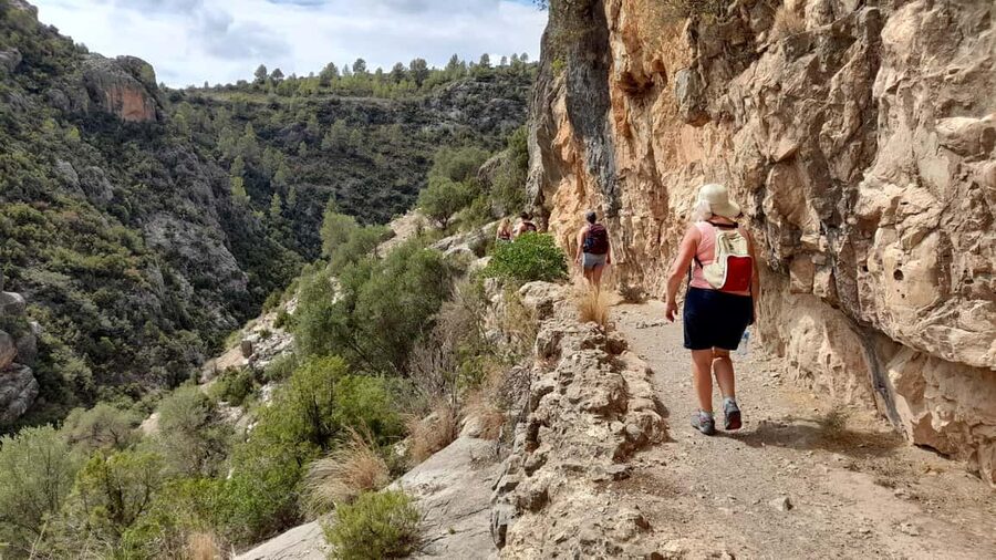 From Valencia: Peña Cortada Private Hiking Day Tour - Who will enjoy this day most