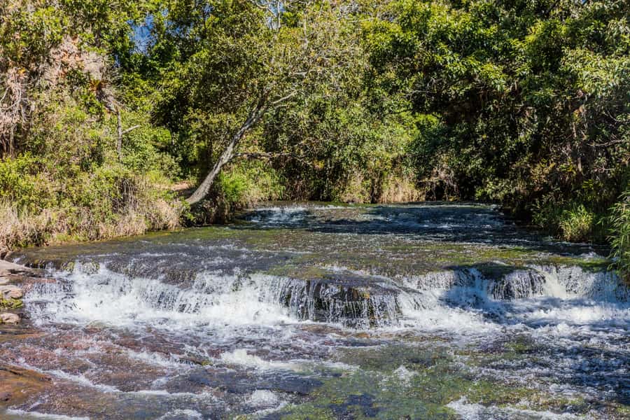 From Villa de Leyva: La Periquera Hiking Tour - Following the trail through Boyaca’s plant life