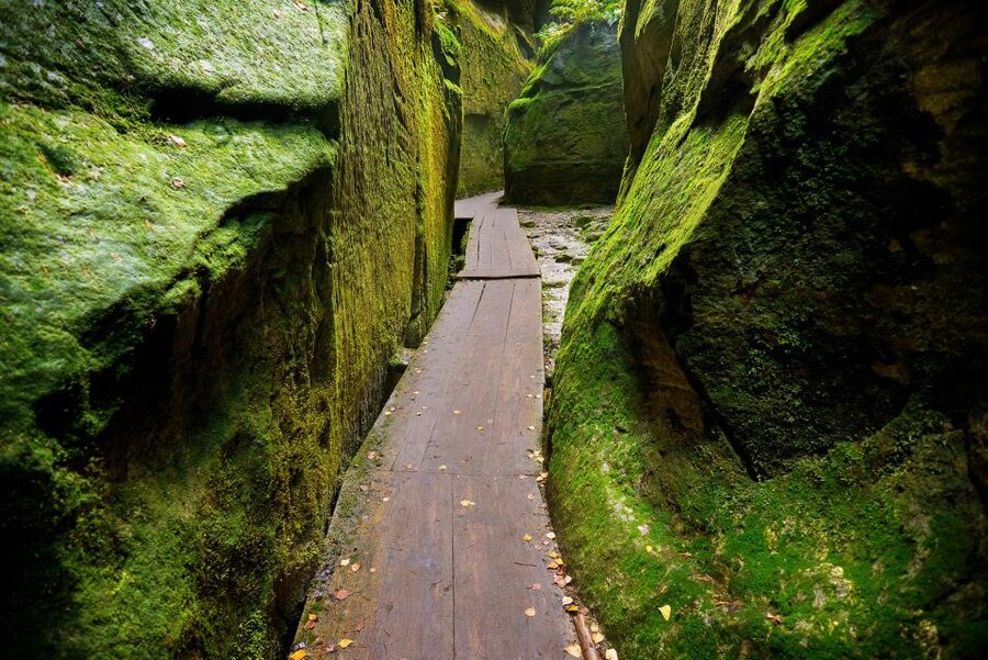 From Wroclaw: Hiking Trail in Rock City Adrspach - Entering through the Gothic gate