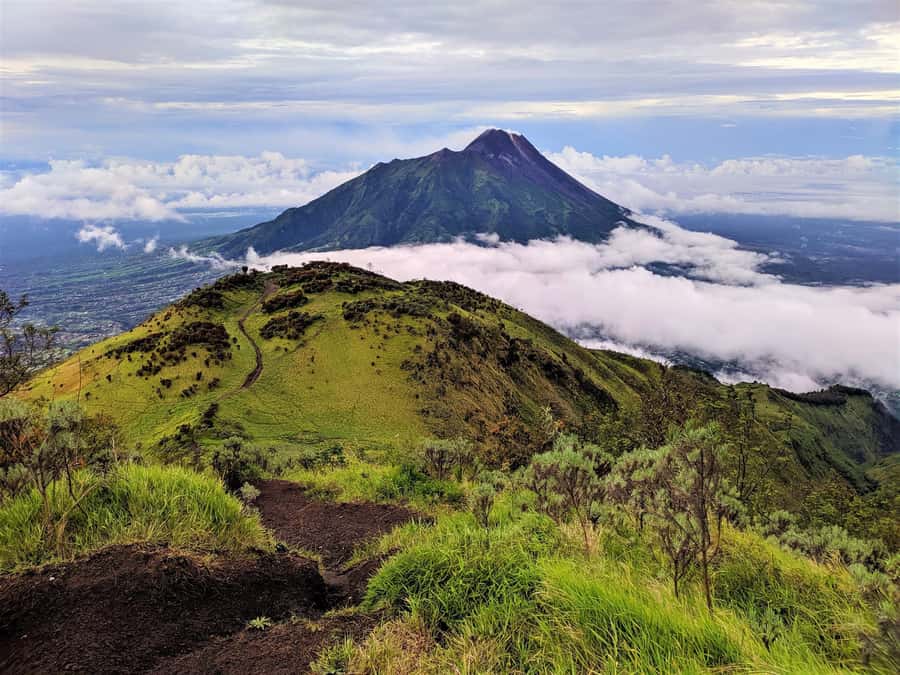 From Yogyakarta: Mount Merbabu One Day Hiking Tour - The first climb through tropical forest