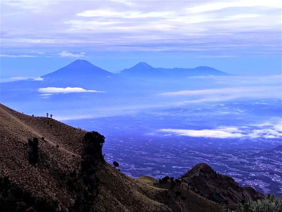 From Yogyakarta: Mount Merbabu One Day Hiking Tour - Post 4 and the switch to open savanna