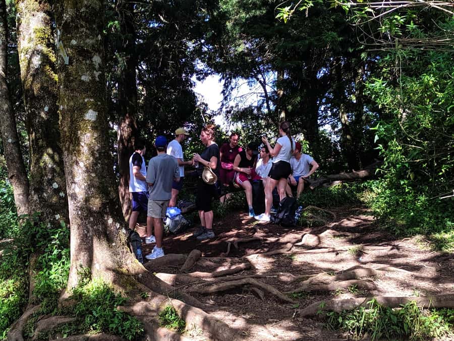 From Yogyakarta: Mount Merbabu One Day Hiking Tour - Reaching the 3,142-meter summit