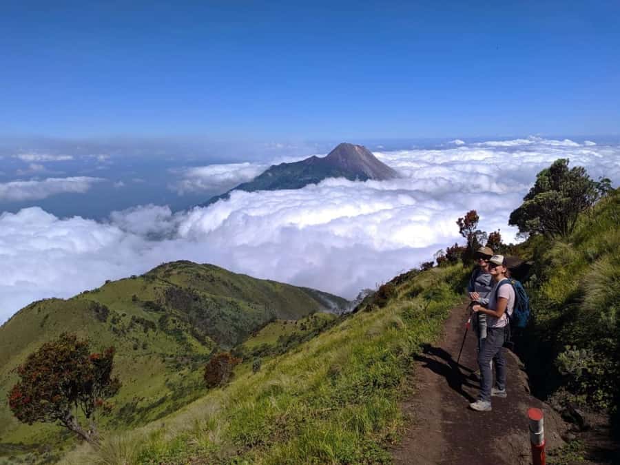 From Yogyakarta: Mount Merbabu One Day Hiking Tour - The long descent back to basecamp