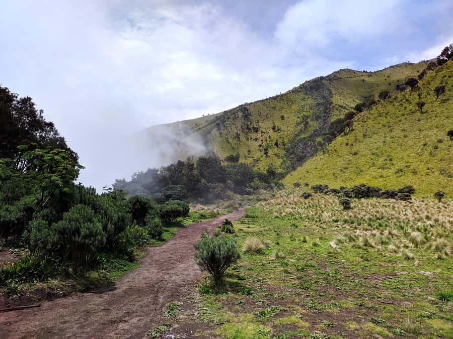 From Yogyakarta: Mount Merbabu One Day Hiking Tour - What the private transport adds
