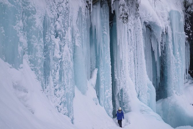 Frozen fall trekking - Why the blue ice is worth the long walk