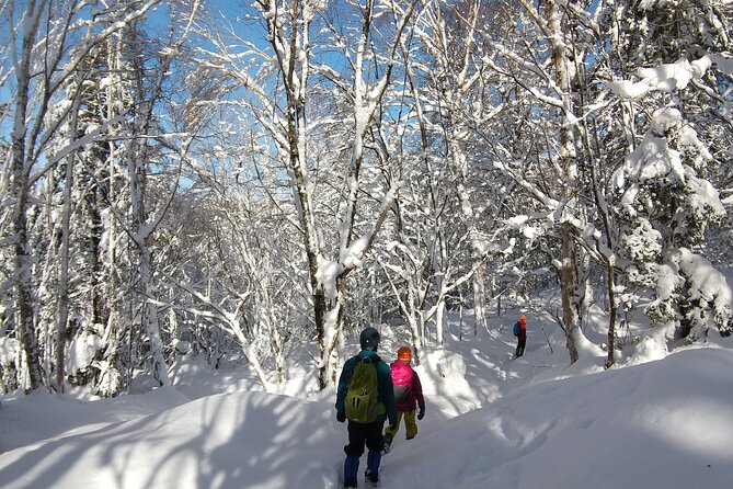 Frozen fall trekking - Who will enjoy this most