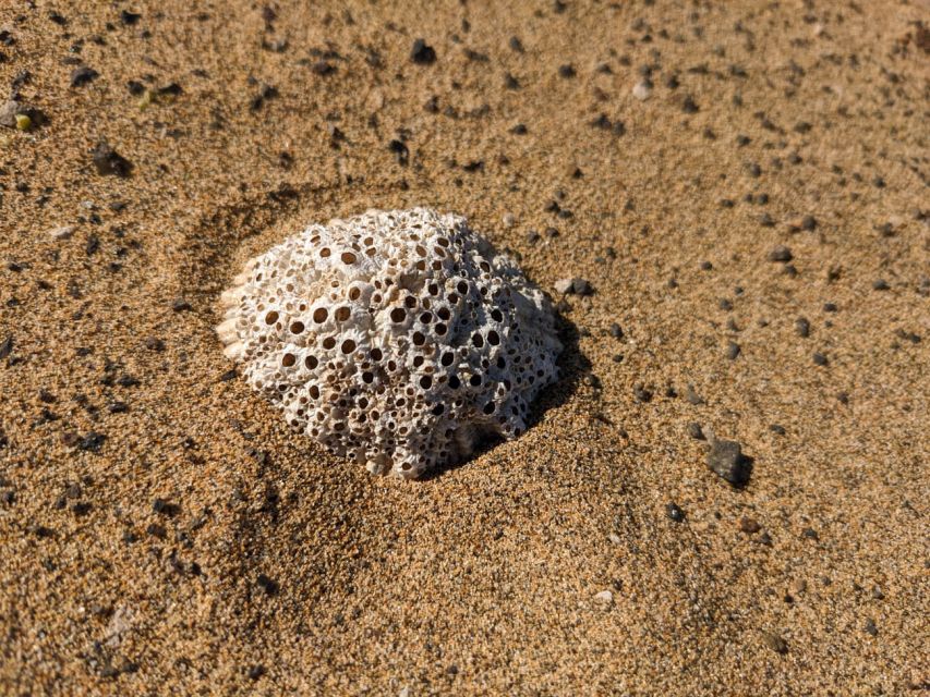 Fuerteventura: COFETE HIKING TOUR: Pick up in the SOUTH - What Miguel adds to the outing
