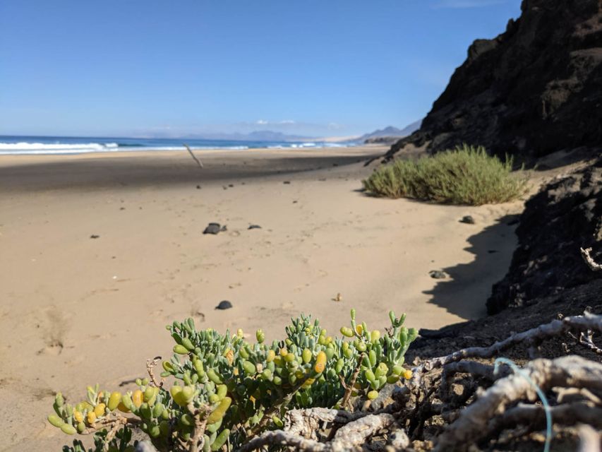 Fuerteventura: COFETE HIKING TOUR: Pick up in the SOUTH - Pickup from the southern resorts
