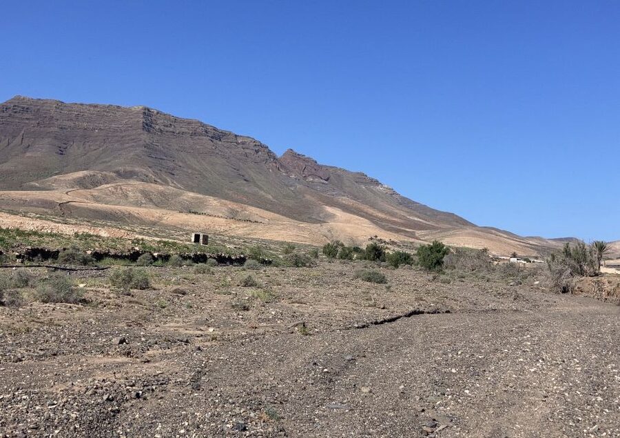 Fuerteventura: Guided Trekking Tour with Island Goats - Rough paths near El Cardon