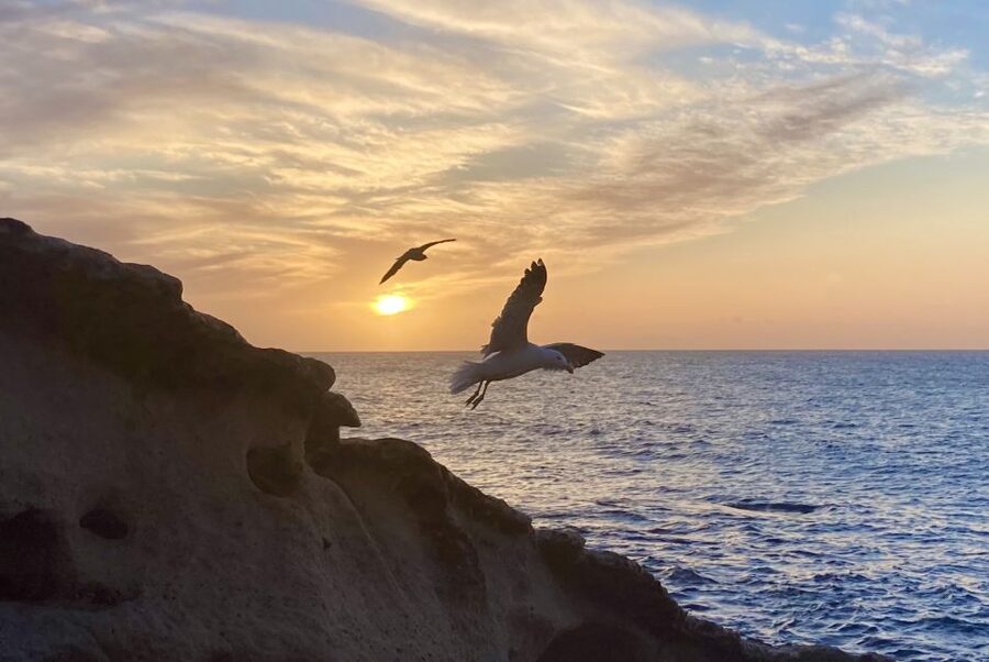 Fuerteventura sunset hike to the wild west coast - Why Fuerteventura’s west coast feels different