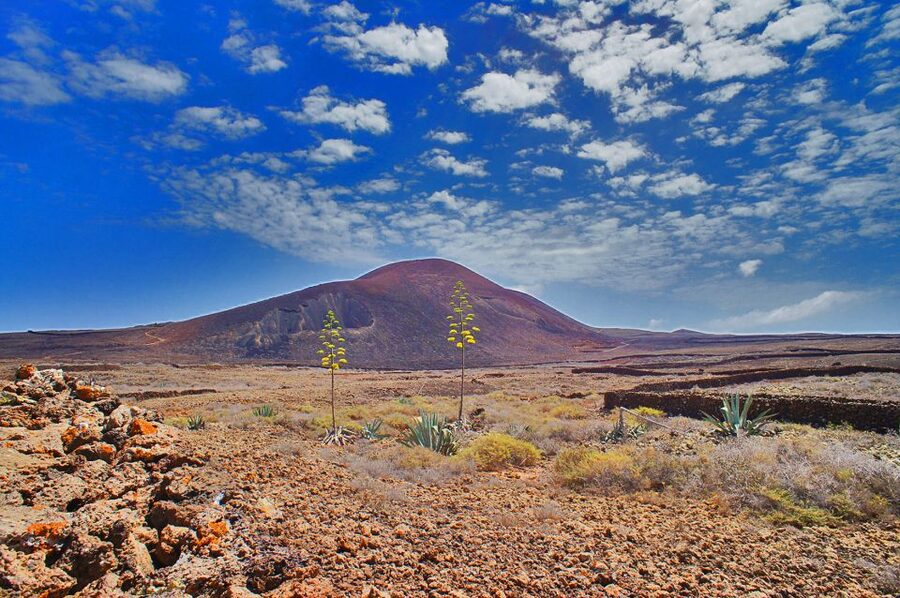 Fuerteventura: Trekking Tour Through the North of the Island - Key points to know before you book