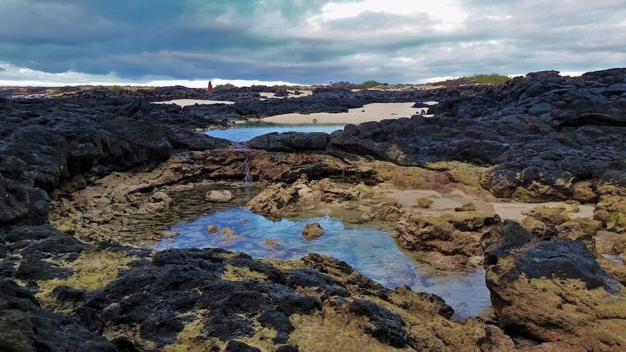 Fuerteventura: Trekking Tour Through the North of the Island - What the guide adds to the day