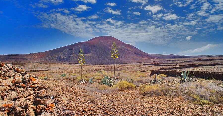 Fuerteventura: Trekking Tour Through the North of the Island - Calderón Hondo and the volcanic heart of Lajares