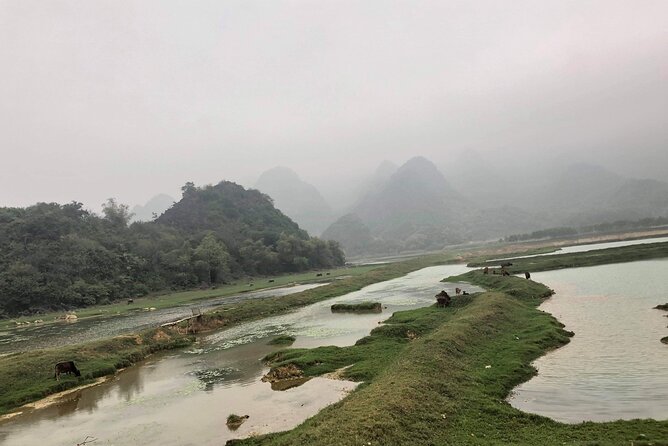 Full-Day Cuc Phuong National Park Hiking Tour - The prehistoric cave and human history