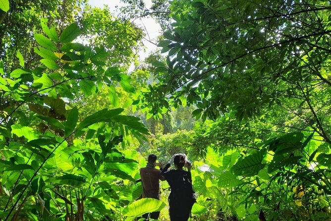 Full-Day Cuc Phuong National Park Hiking Tour - What the day feels like in wet weather