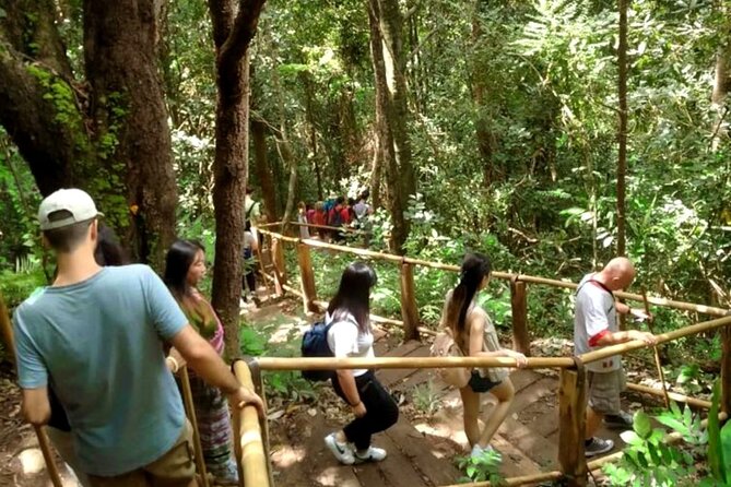 Full-Day Doi Inthanon National Park Tour with Trek and Pagodas - Walking the Pha Dok Siew Nature Trail