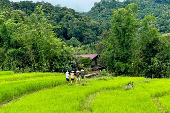 Full-Day Doi Inthanon National Park Tour with Trek and Pagodas - Guides, Group Size, and the Human Side of the Tour
