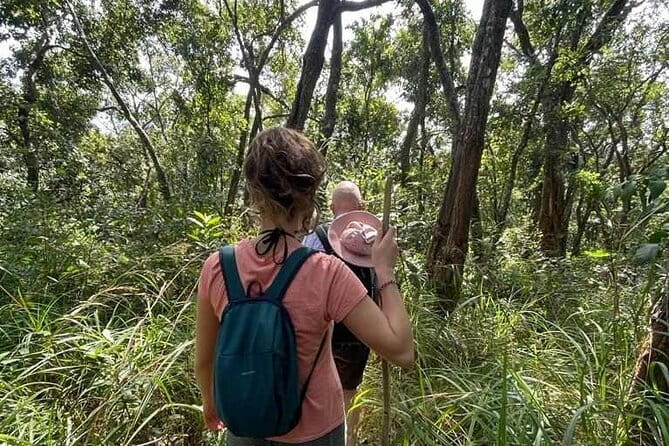 Full Day Doi Saket Hiking Tour - Pickup, timing, and group size