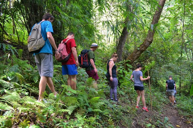 Full-Day Hike and Bike Tour from Chiang Mai - Key points at a glance