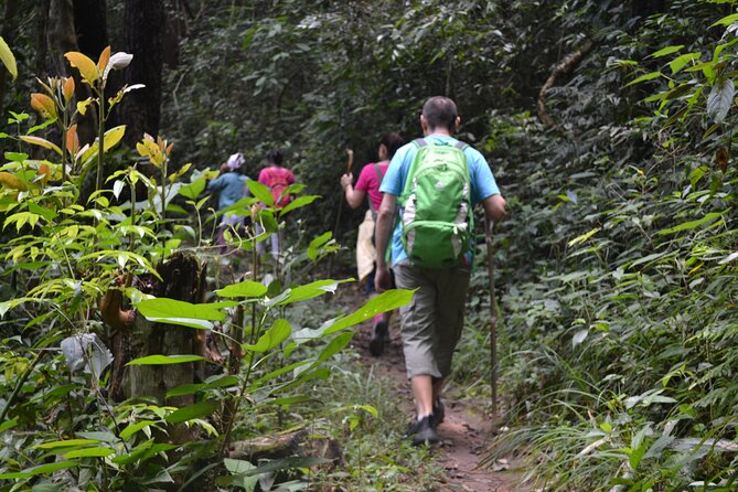 Full-Day Hike and Bike Tour from Chiang Mai - A full day beyond Chiang Mai’s old city