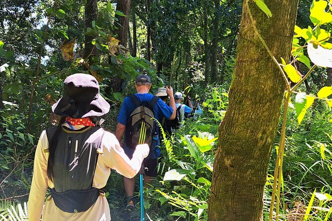 Full-Day Hike and Bike Tour from Chiang Mai - A waterfall stop with Thai food