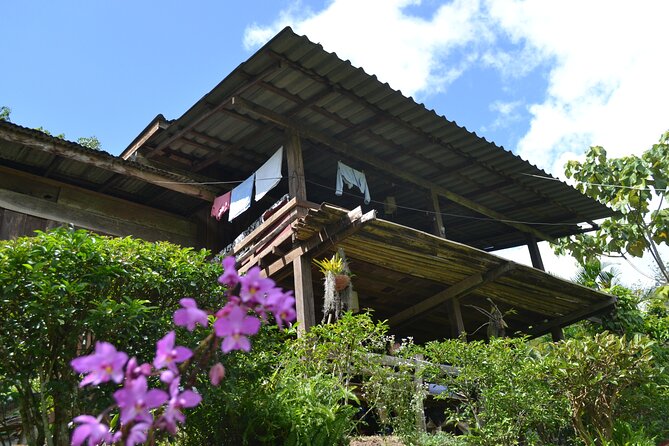 Full-Day Hike and Bike Tour from Chiang Mai - Guides, water, and the pace of the day