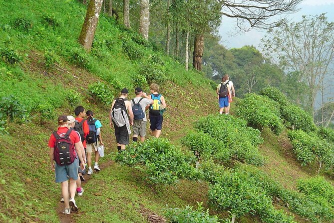 Full-Day Hike and Bike Tour from Chiang Mai - The morning hike through Mae Sa Valley