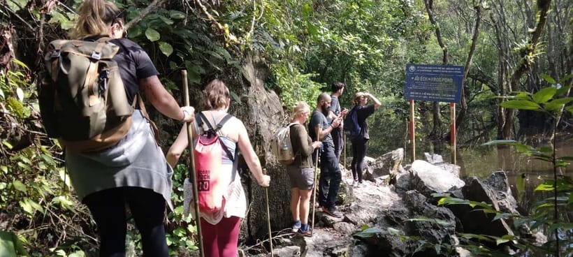 Full day hike - climbing in Jungle of Cat Ba National park - Should you book the Cat Ba National Park hike?