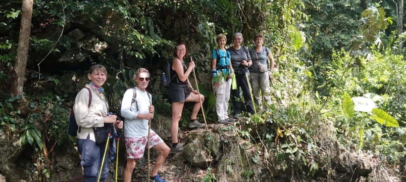 Full day hike - climbing in Jungle of Cat Ba National park - Frog Pond and the Va Nuoc trees