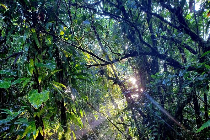 Full Day Hike Tour from Dominica - What the $120 price covers